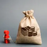 Heeft uw FMIS u een technische schuld bezorgd?