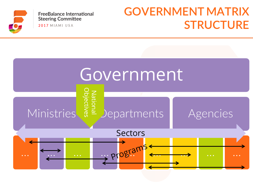 Stuurgroep FreeBalance International - Matrixstructuur van de overheid