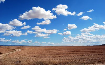Smart and Open Government News Roundup