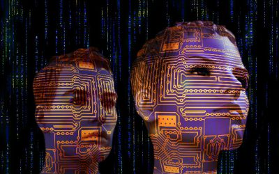 Leadership and Government Digital Transformation