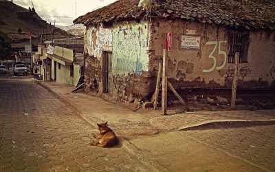 A Narrativa da Pobreza $1 - Marketing ou Boa Política?