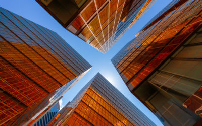 L'intérêt d'une architecture de solutions FMIS pour le gouvernement
