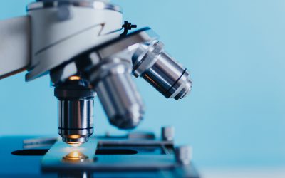 3 grands enseignements de la pandémie en matière d'innovation dans les finances publiques
