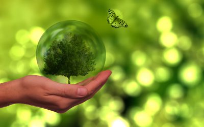 Comment la gestion des finances publiques soutient-elle les ODD ?