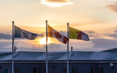Gestion du changement dans les économies émergentes