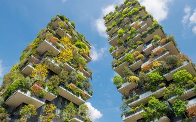 Les enseignements des réunions de printemps du FMI et de la Banque mondiale en matière de développement durable