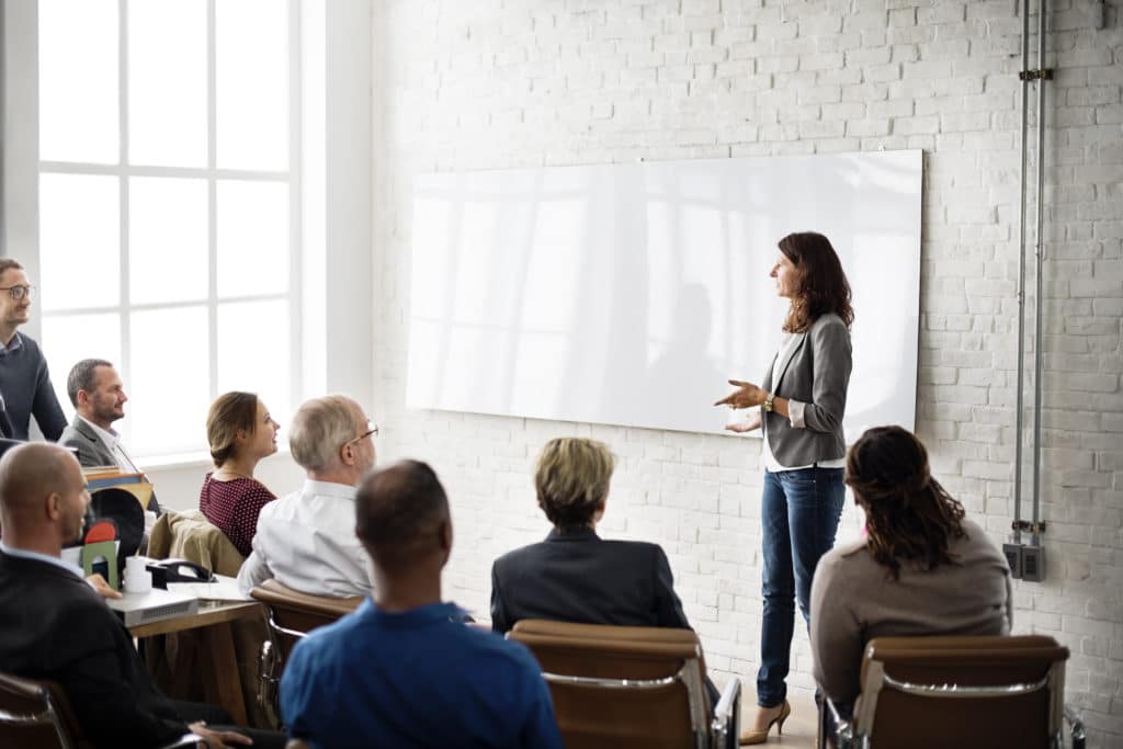Large IT Projects in Government
