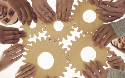 Gestion des finances publiques et cycle budgétaire