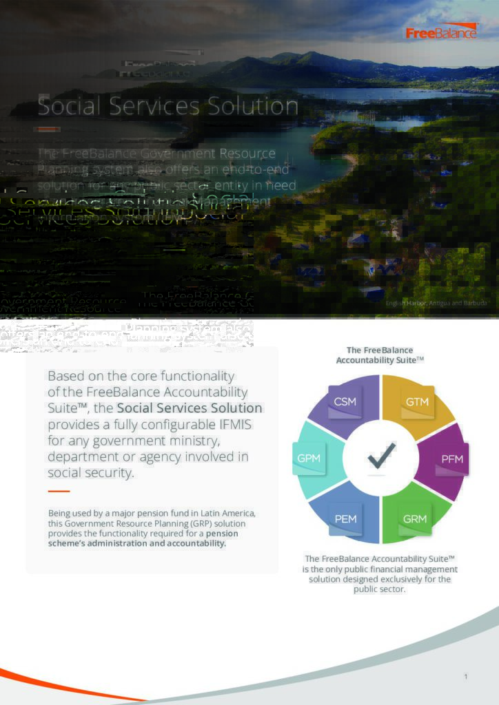 Social Services Solution Factsheet